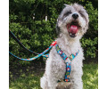 Max & Molly Multi-Function Leash Little Monsters багатофункціональний повідець, принт монстри - M
