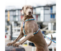 Max & Molly H-Harness Aloha H-подібна шлея для собак, принт Алоха - L