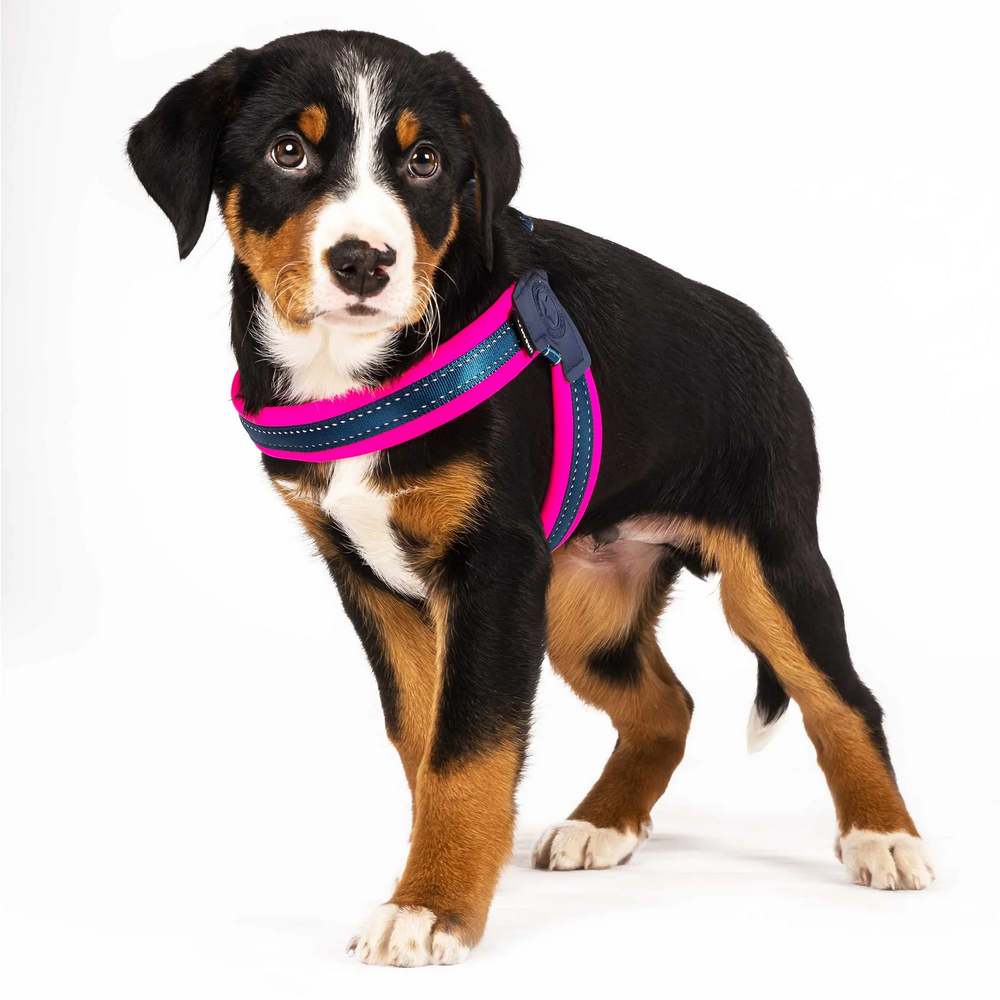 Max & Molly Q-Fit Harness Matrix Pink шлея для собак, рожевий - XL