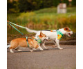 Max & Molly Multi-Function Leash Ducklings багатофункціональний повідець, принт каченята -S