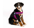 Max & Molly Q-Fit Harness Matrix Pink шлея для собак, рожевий - L