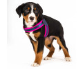 Max & Molly Q-Fit Harness Matrix Pink шлея для собак, рожевий - L