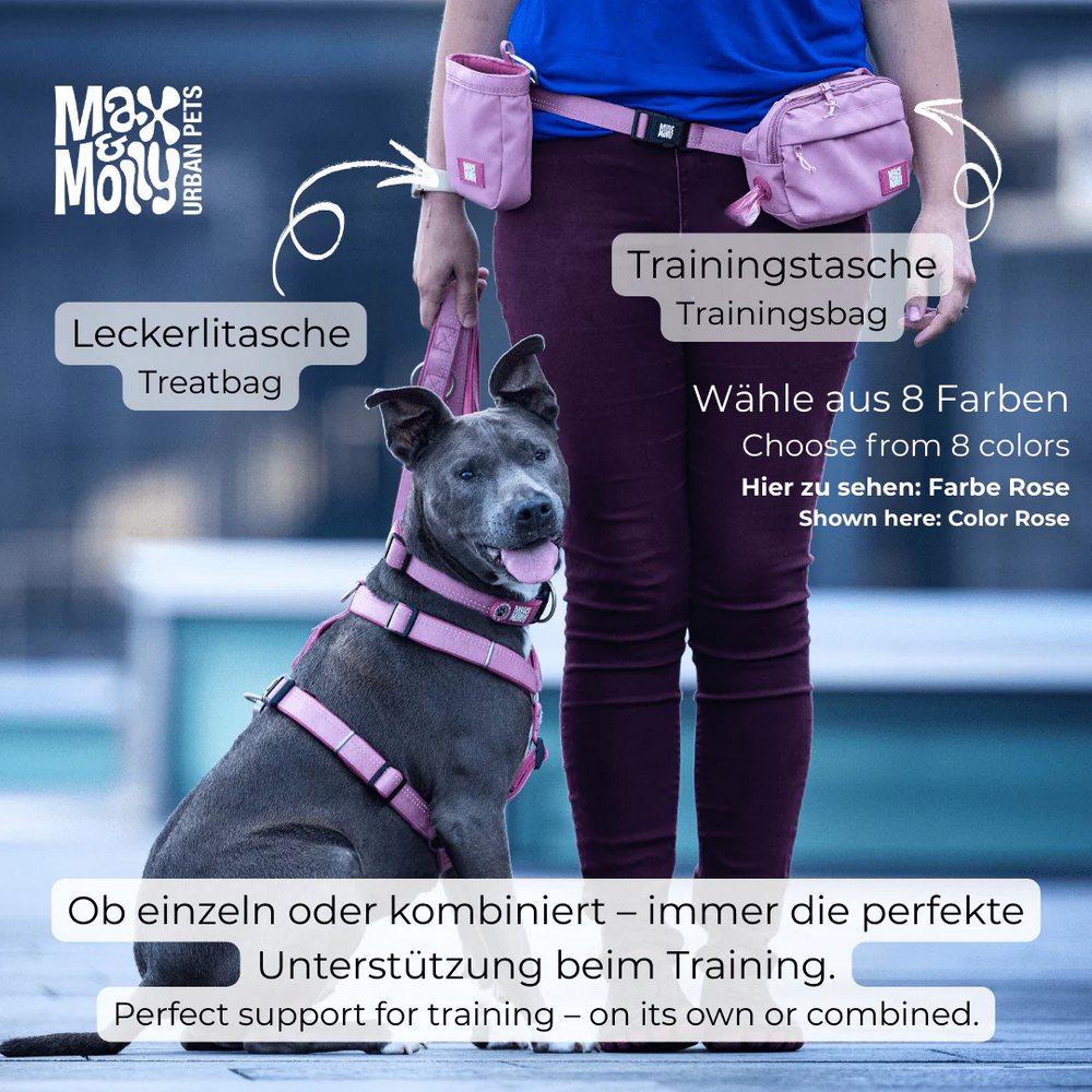 Max & Molly Training Bag Matrix 2.0 Rose поясна сумка для ласощів - рожевий