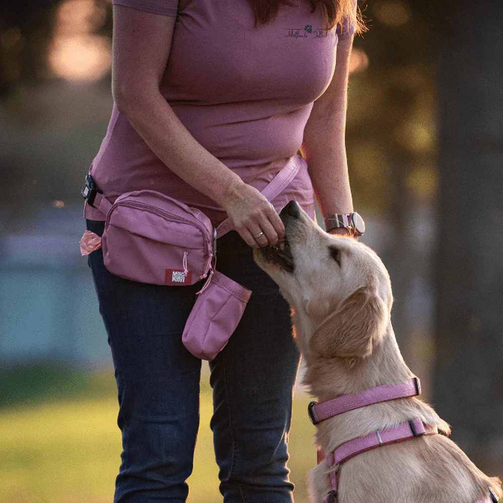 Max & Molly Training Bag Matrix 2.0 Rose поясна сумка для ласощів - рожевий