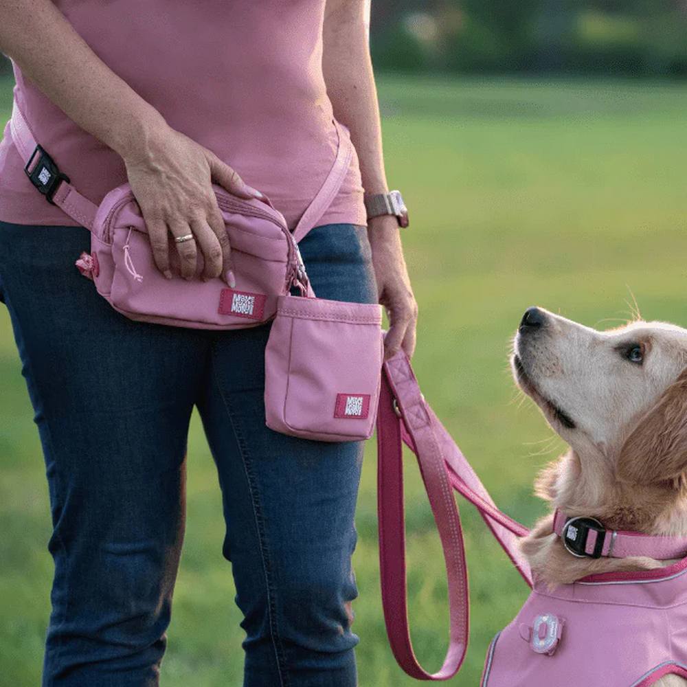 Max & Molly Training Bag Matrix 2.0 Rose поясна сумка для ласощів - рожевий