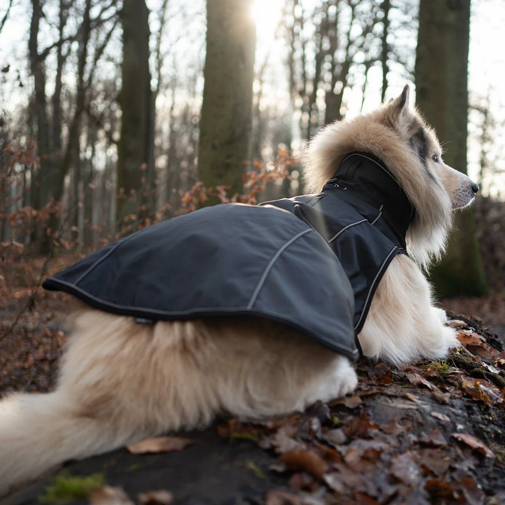 Max & Molly Raincoat Matrix 2.0 Black дощовик для собак, чорний - М