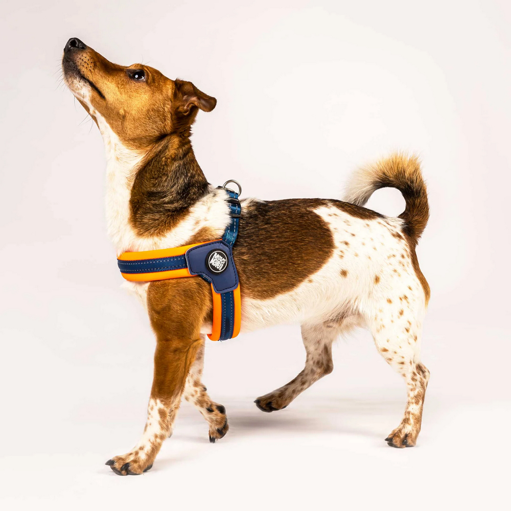 Max & Molly Q-Fit Harness Matrix Orange шлея для собак, помаранчевий - S
