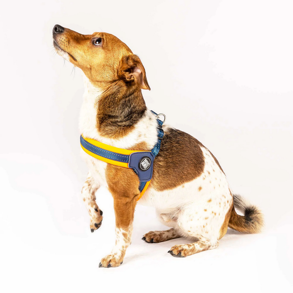Max & Molly Q-Fit Harness Matrix Orange шлея для собак, помаранчевий - S