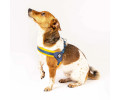 Max & Molly Q-Fit Harness Matrix Orange шлея для собак, помаранчевий - S