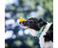 Max & Molly Smart ID Ducklings нашийник для собак, принт каченята - XS