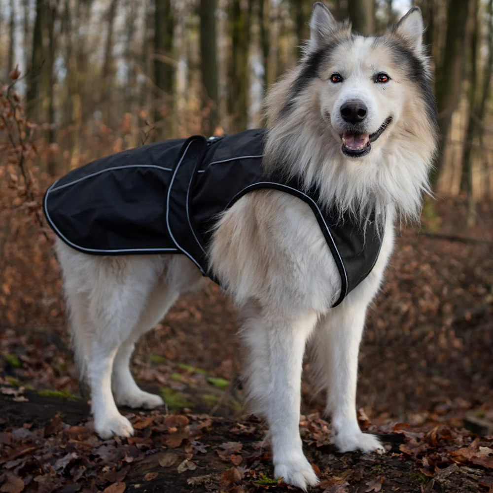 Max & Molly Raincoat Matrix 2.0 Black дощовик для собак, чорний - L