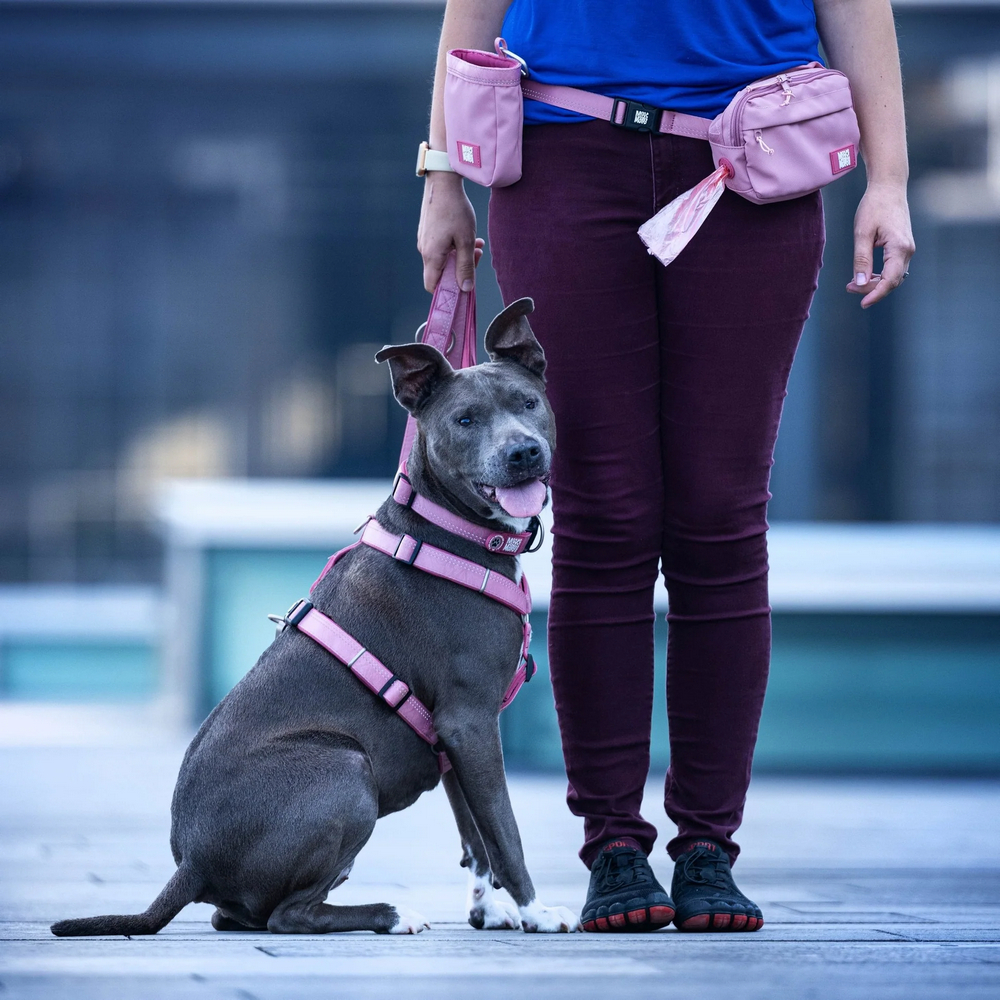 Max & Molly Treatbag Matrix 2.0 Rose сумка для ласощів - рожевий