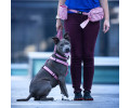 Max & Molly Treatbag Matrix 2.0 Rose сумка для ласощів - рожевий