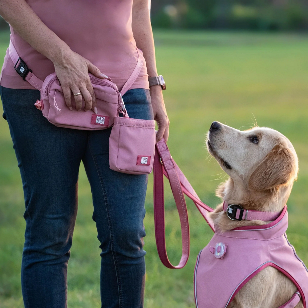 Max & Molly Treatbag Matrix 2.0 Rose сумка для ласощів - рожевий