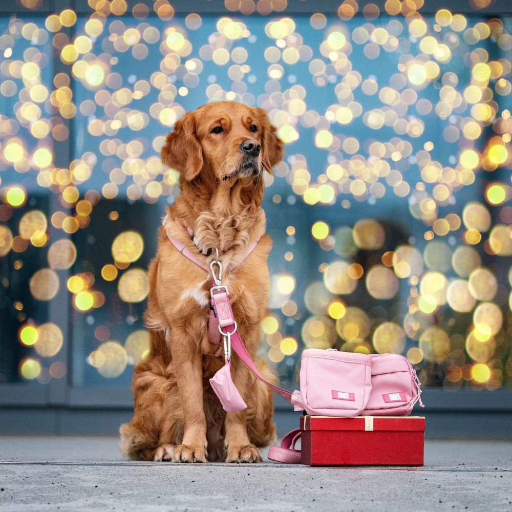 Max & Molly Treatbag Matrix 2.0 Rose сумка для ласощів - рожевий