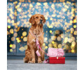 Max & Molly Treatbag Matrix 2.0 Rose сумка для ласощів - рожевий