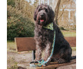 Max & Molly Bandana Black Sheep бандана на нашийник собаки, принт чорна вівця - M/L