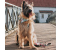 Max & Molly Bandana Unicorn бандана на нашийник собаки, принт єдиноріг - XS/S