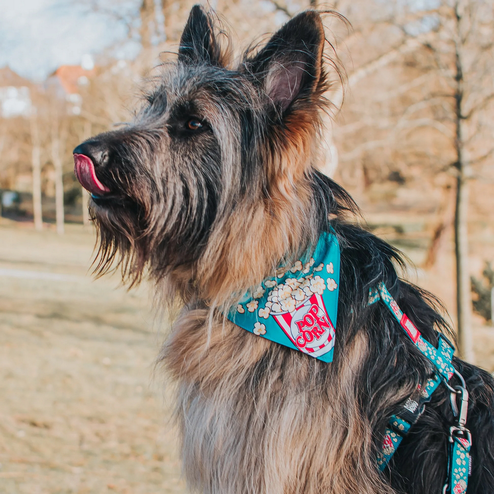 Max & Molly Bandana Popcorn бандана на нашийник собаки, принт попкорн - XS/S