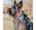 Max & Molly Bandana Popcorn бандана на нашийник собаки, принт попкорн - XS/S