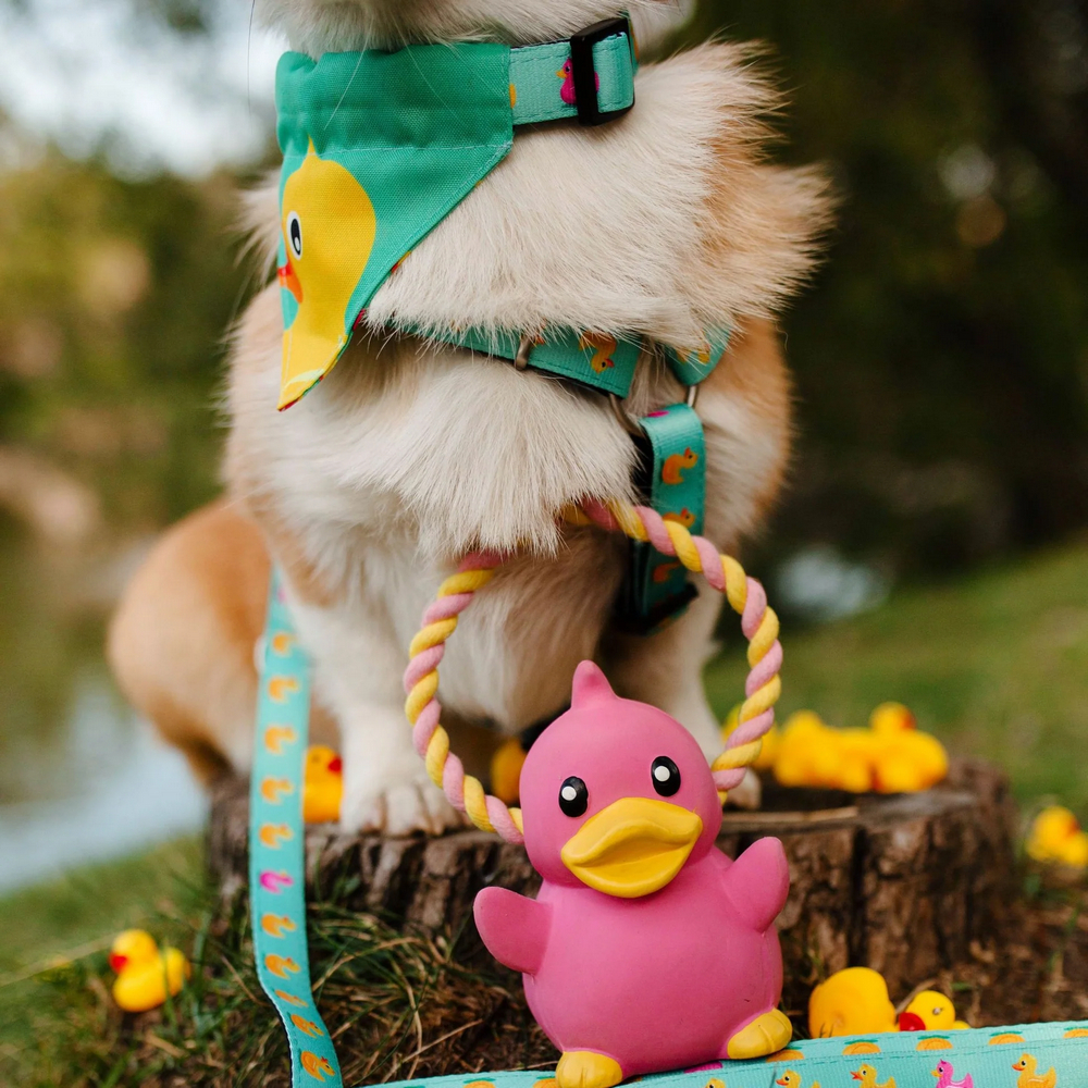 Max & Molly Bandana Ducklings бандана на нашийник собаки, принт каченята - XS/S