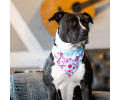 Max & Molly Bandana Cherry Bloom бандана на нашийник собаки, принт вишневий цвіт - M/L