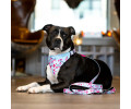 Max & Molly Bandana Cherry Bloom бандана на нашийник собаки, принт вишневий цвіт - M/L