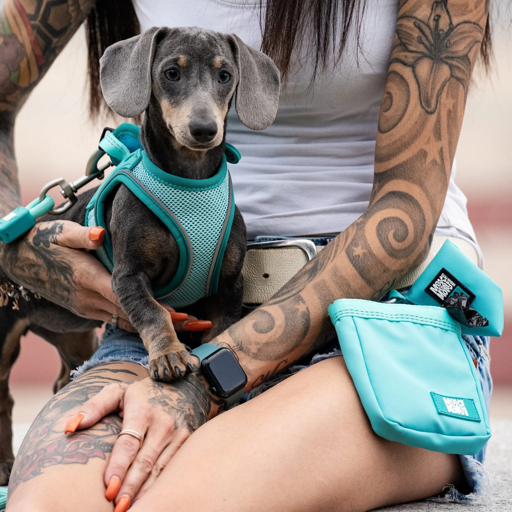 Max & Molly Poo Bag Matrix 2.0 Turquoise диспенсер для пакетів - бірюзовий