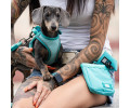 Max & Molly Poo Bag Matrix 2.0 Turquoise диспенсер для пакетів - бірюзовий