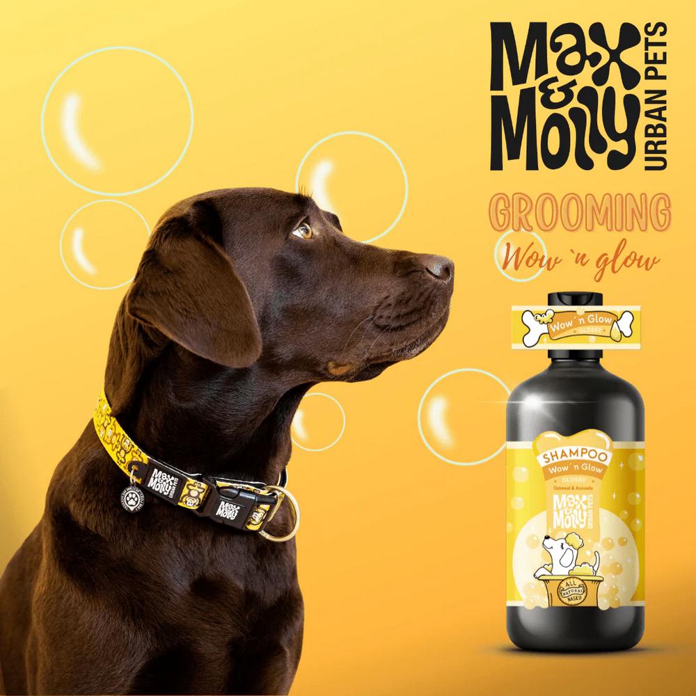 Max & Molly Dog Shampoo Glossy Coat Wow'n Glow шампунь для собак - 250 мл