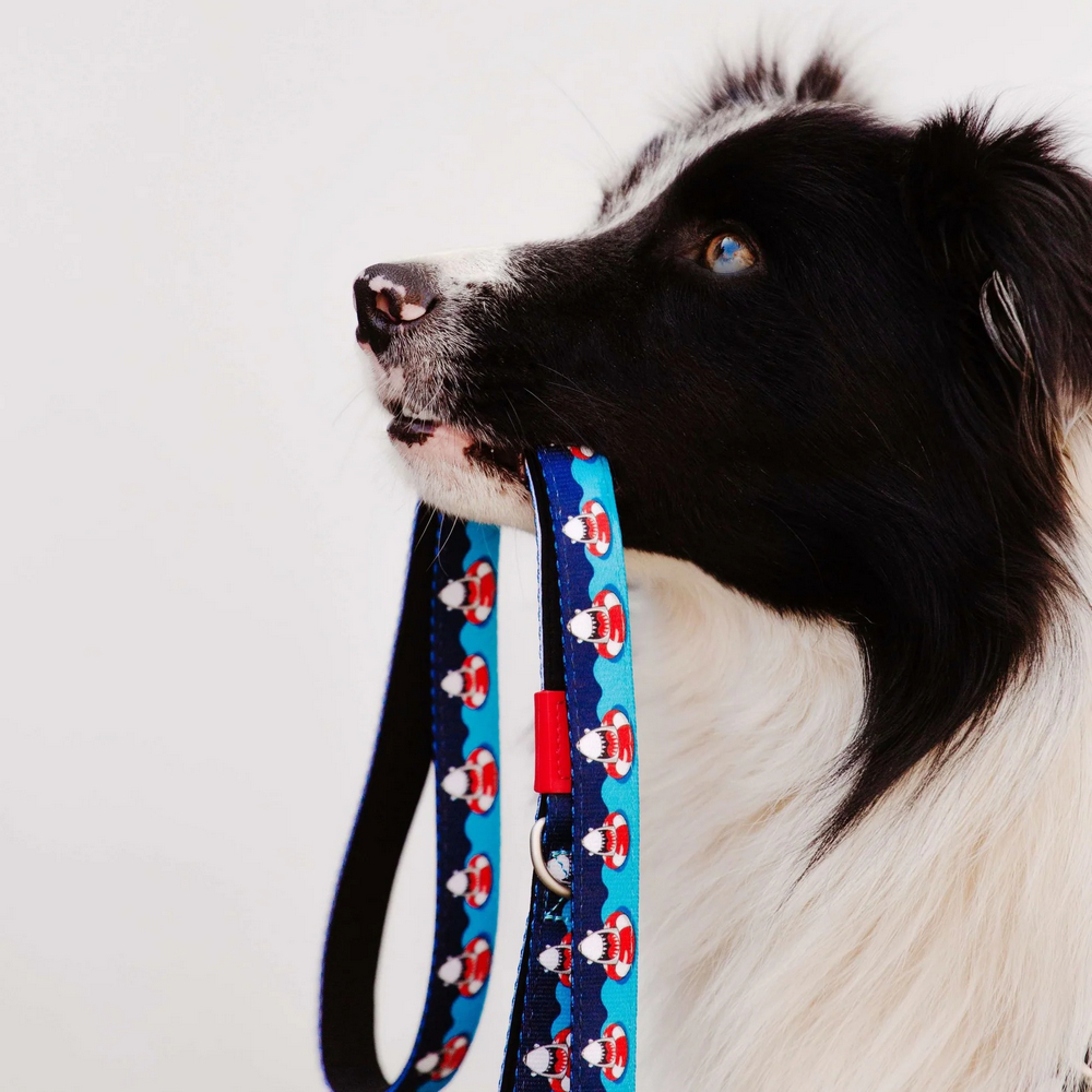 Max & Molly Short Leash Frenzy the Shark короткий повідець, принт акула - M