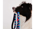 Max & Molly Short Leash Frenzy the Shark короткий повідець, принт акула - M
