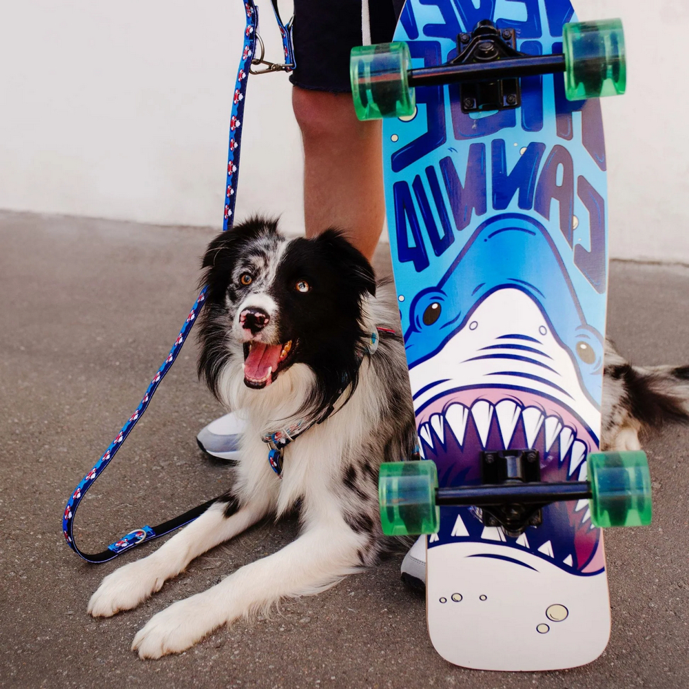 Max & Molly Short Leash Frenzy the Shark короткий повідець, принт акула - M