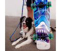 Max & Molly Short Leash Frenzy the Shark короткий повідець, принт акула - M