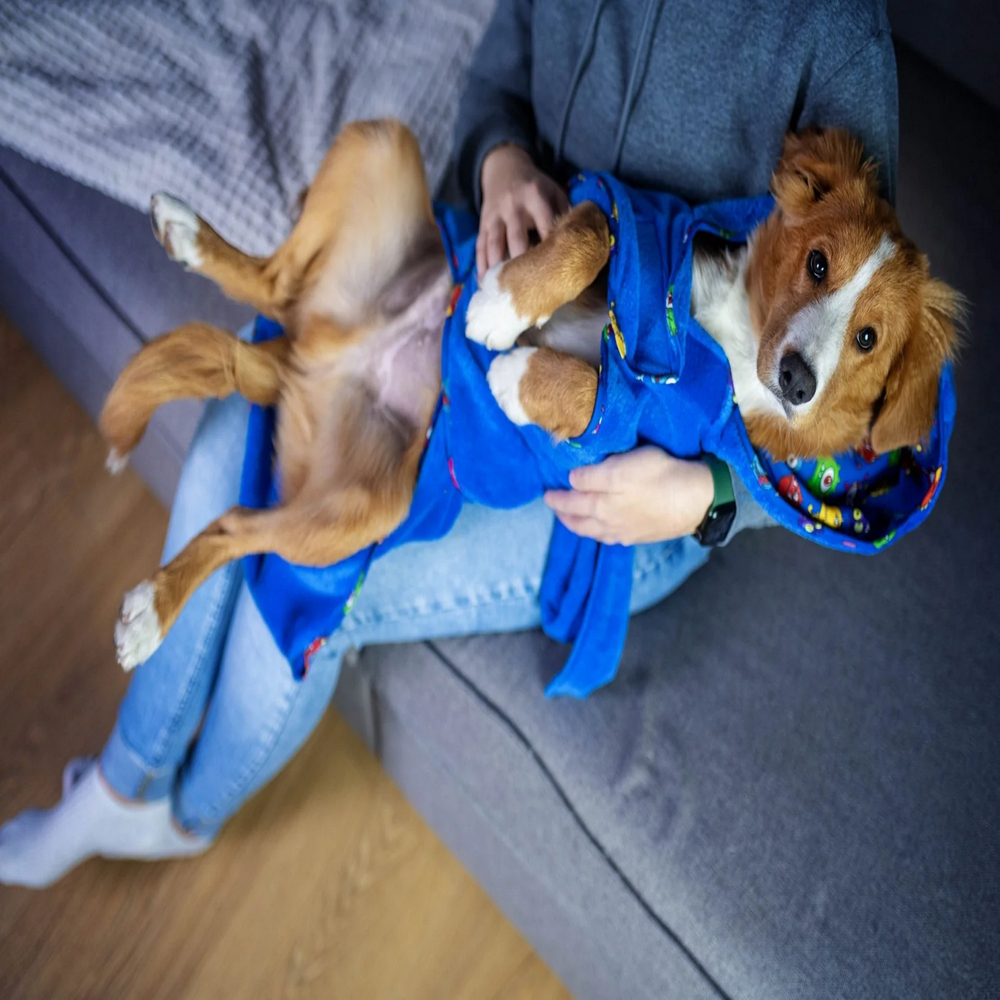 Max & Molly Bath Robe Little Monster халат для собак, принт монстри - M