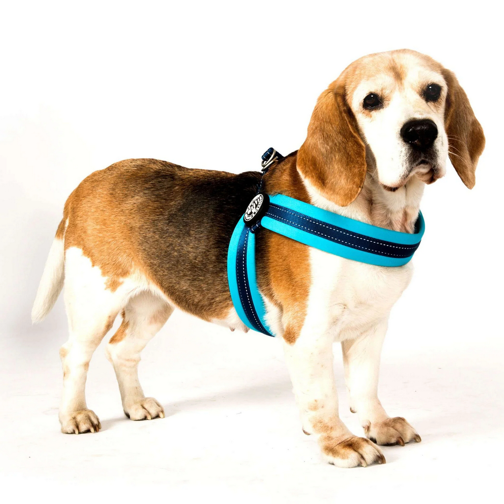 Max & Molly Q-Fit Harness Matrix Sky Blue шлея для собак, синій - XL