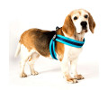 Max & Molly Q-Fit Harness Matrix Sky Blue шлея для собак, синій - XL