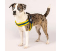 Max & Molly Q-Fit Harness Matrix Yellow шлея для собак, жовтий - S