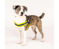 Max & Molly Q-Fit Harness Matrix Yellow шлея для собак, жовтий - S