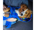 Max & Molly Bath Robe Little Monster халат для собак, принт монстри - L