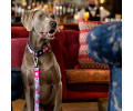 Max & Molly Smart ID Cherry Bloom нашийник для собак, принт вишневий цвіт  - M