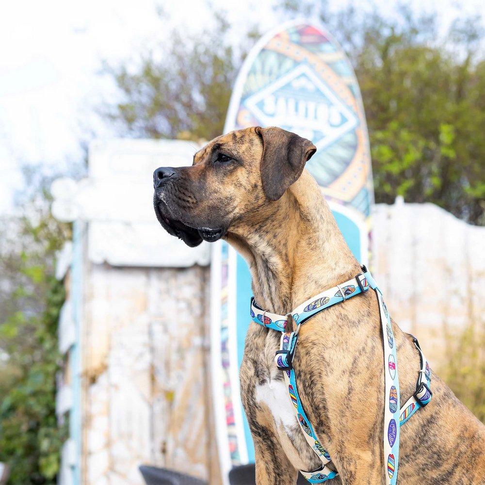 Max & Molly Short Leash Aloha короткий повідець, принт Алоха - L