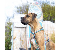 Max & Molly Short Leash Aloha короткий повідець, принт Алоха - L