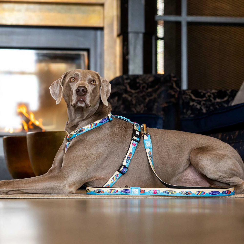 Max & Molly Multi-Function Leash Aloha багатофункціональний повідець, принт Алоха - M