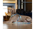 Max & Molly Multi-Function Leash Aloha багатофункціональний повідець, принт Алоха - M