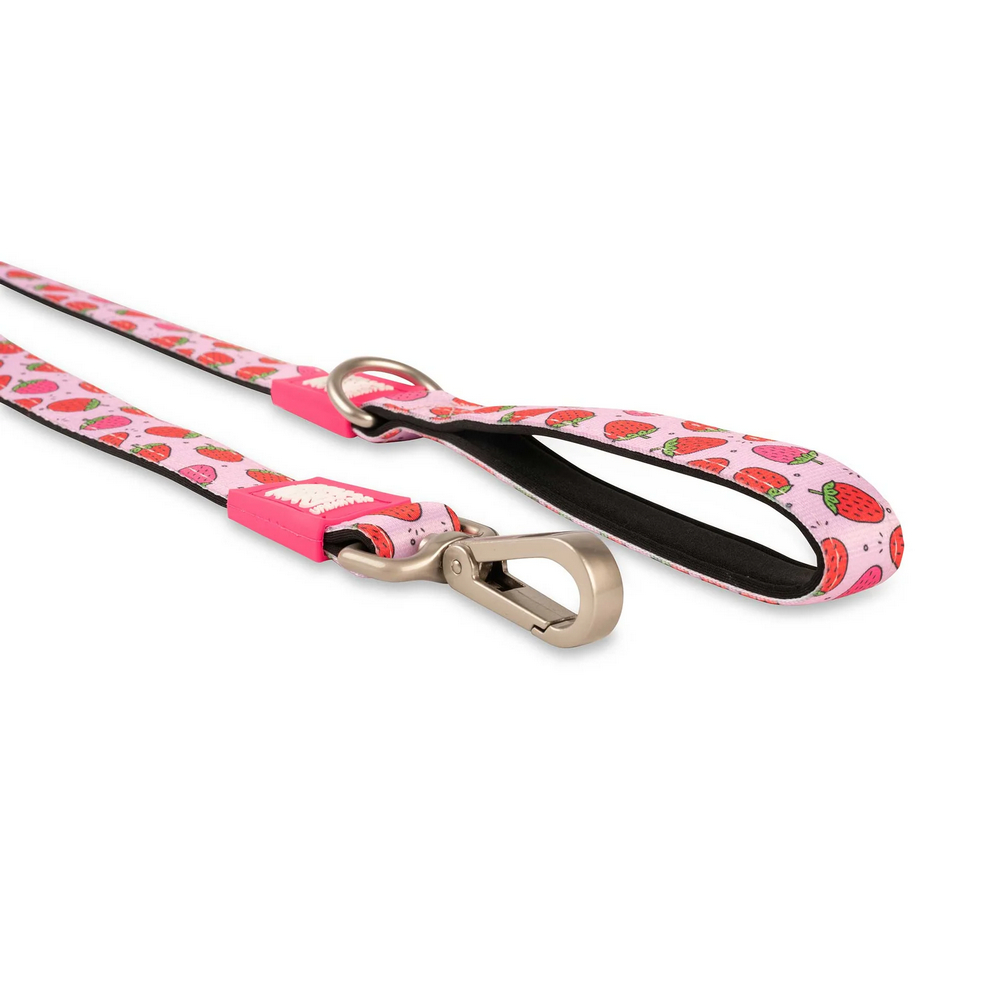 Max & Molly Short Leash Strawberry Dream короткий повідець, принт полунична мрія - XS