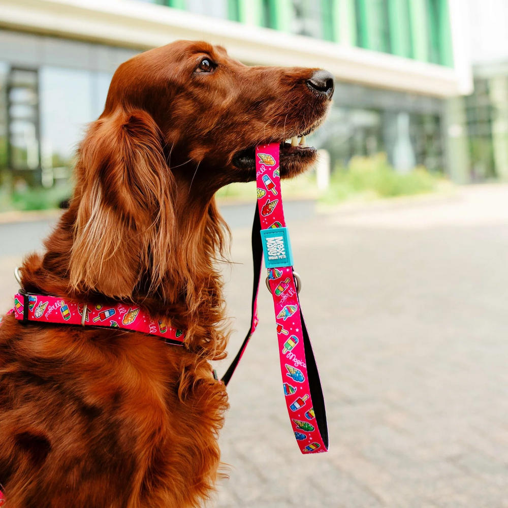 Max & Molly Short Leash Magical короткий повідець, принт чарівний - XS