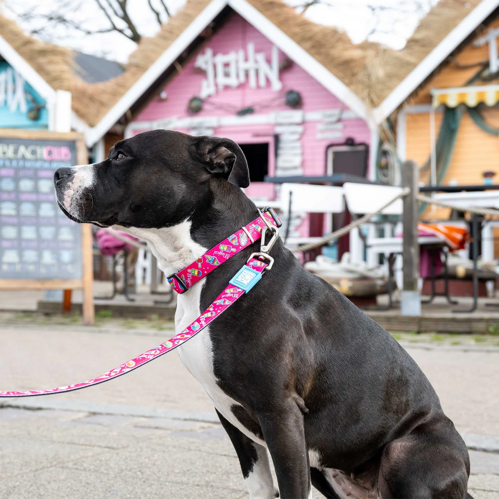 Max & Molly Short Leash Magical короткий повідець, принт чарівний - М