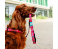 Max & Molly Short Leash Magical короткий повідець, принт чарівний - М