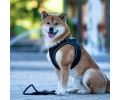 Max & Molly Smart ID Sport Harness Matrix 2.0 Black шлея для собак, чорний - XL